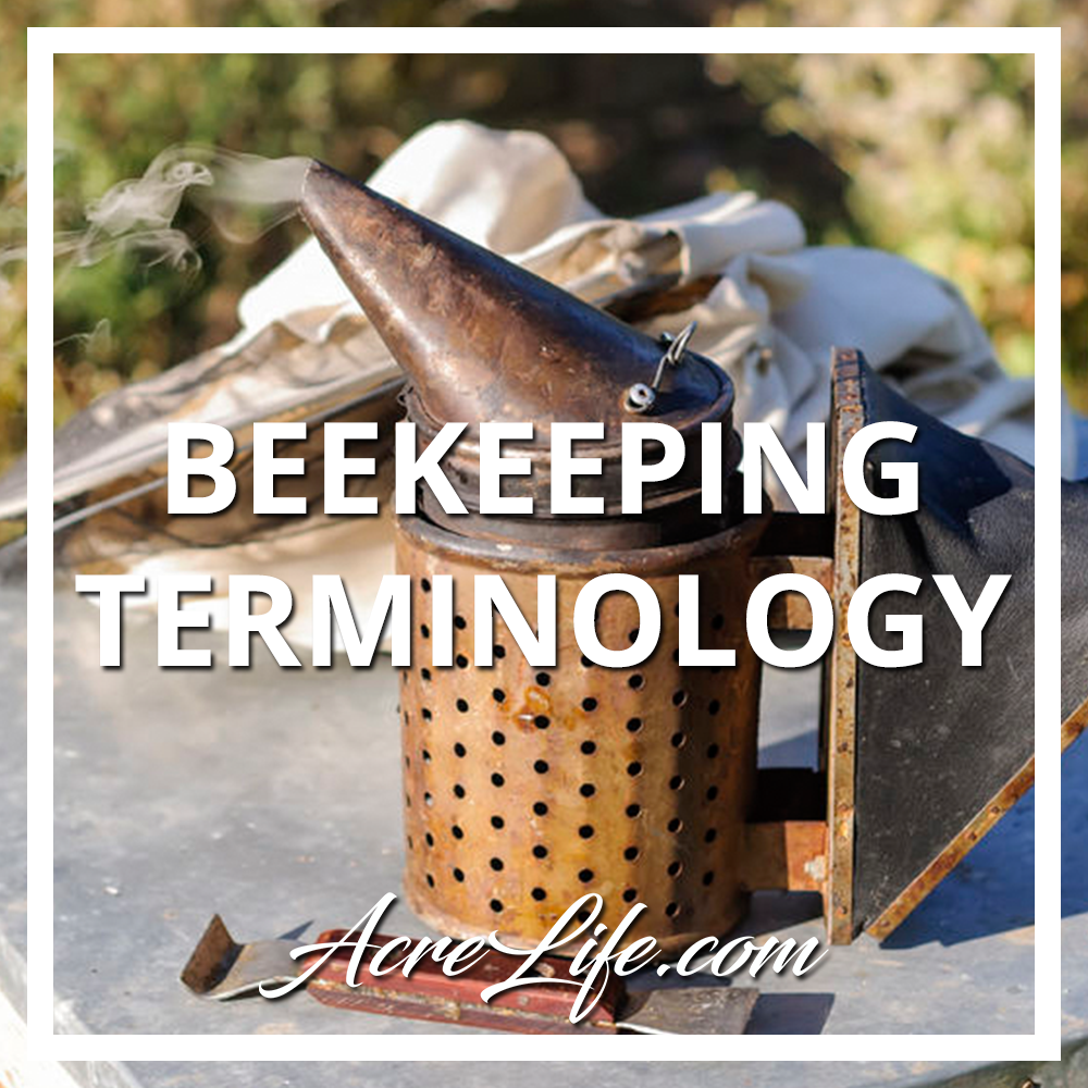 Beekeeping Terminology