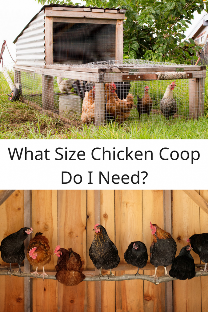 What Size Chicken Coop Do I Need - Acre Life
