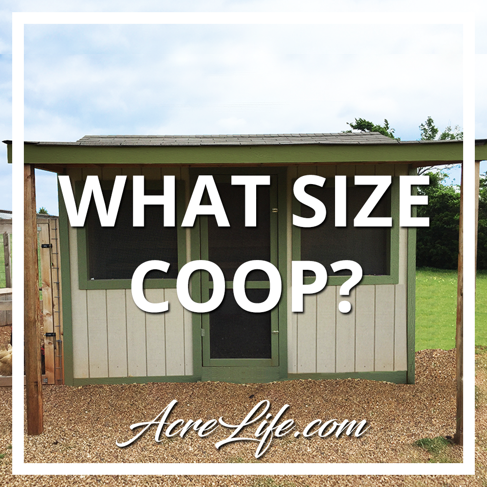 What Size Chicken Coop Do I Need