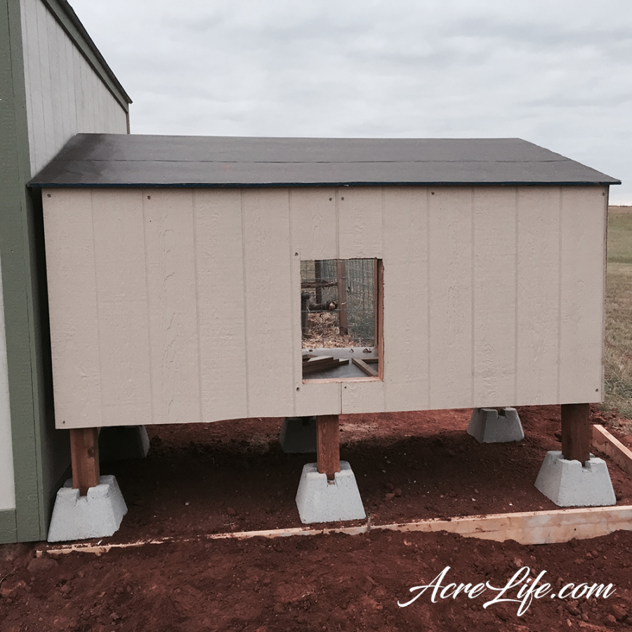 Building a Guinea Coop AcreLife