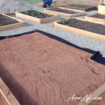 Our raised garden beds in year 2 - Acre Life