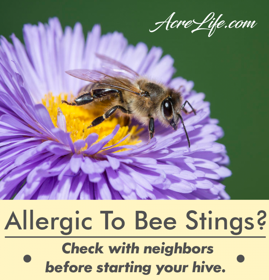 Are My Neighbors Allergic To Bees?