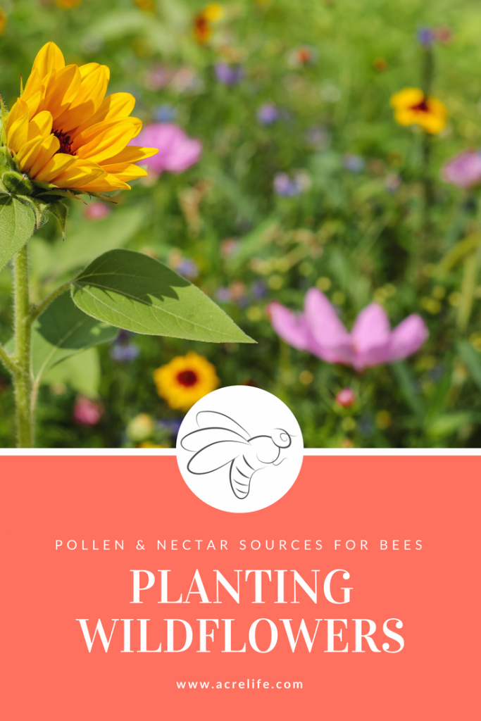 Planting Wildflowers - Acre Life