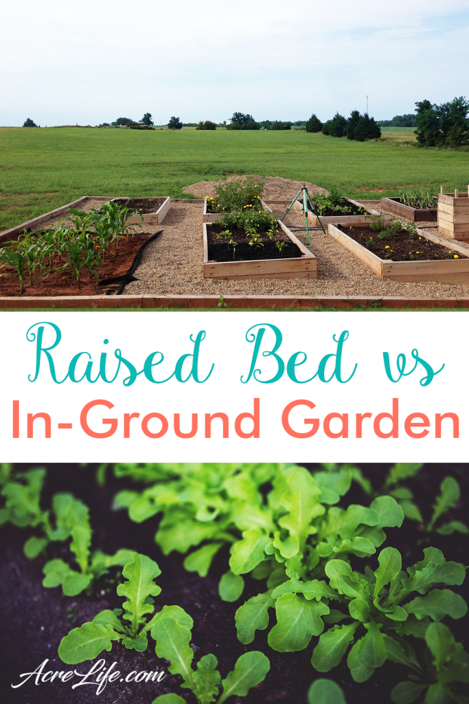 Raised Bed vs In Ground Garden - AcreLife