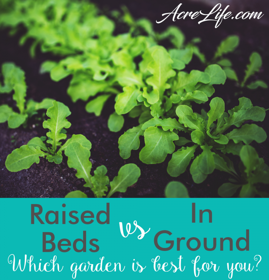 Raised Bed vs In Ground Garden AcreLife Acre Life