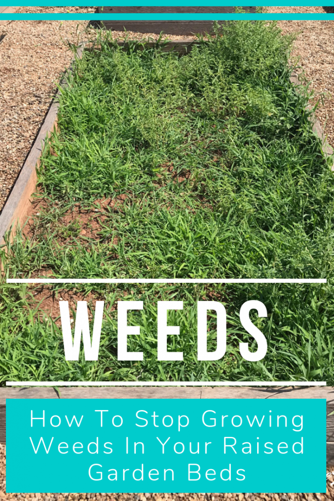 How to stop growing weeds in your raised garden beds.