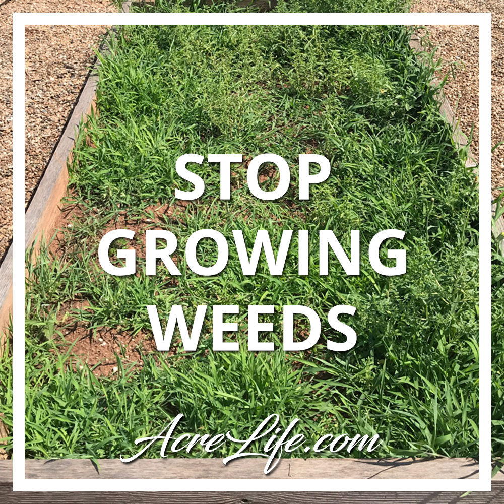 how to stop weeds from growing in garden