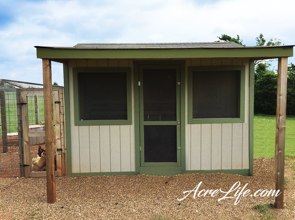 What Size Chicken Coop Do I Need? Easy to Follow Checklist Acre Life