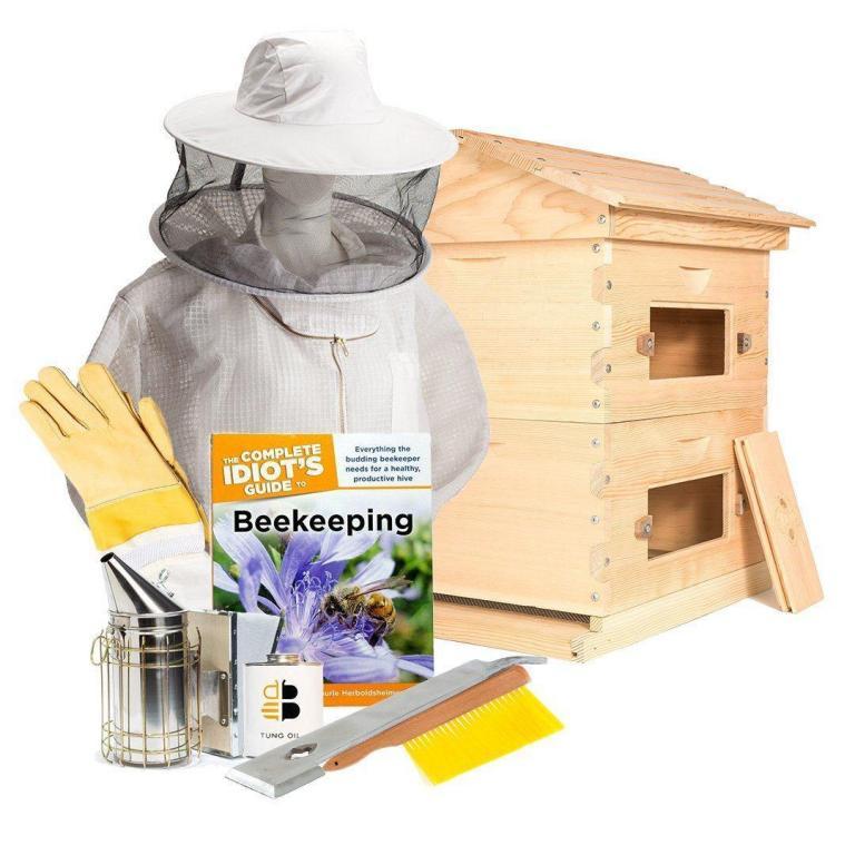 bee hive starter kit