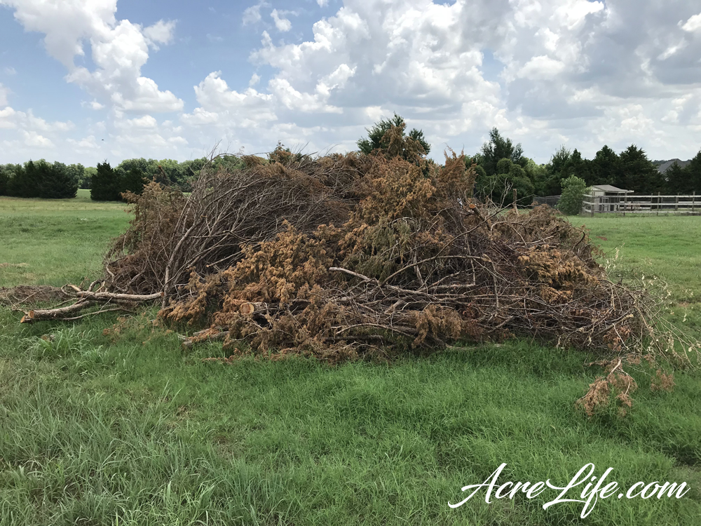 Cedar Branch Burn Pile Acre Life
