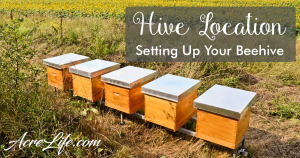 Bee Hive Location Acre Life