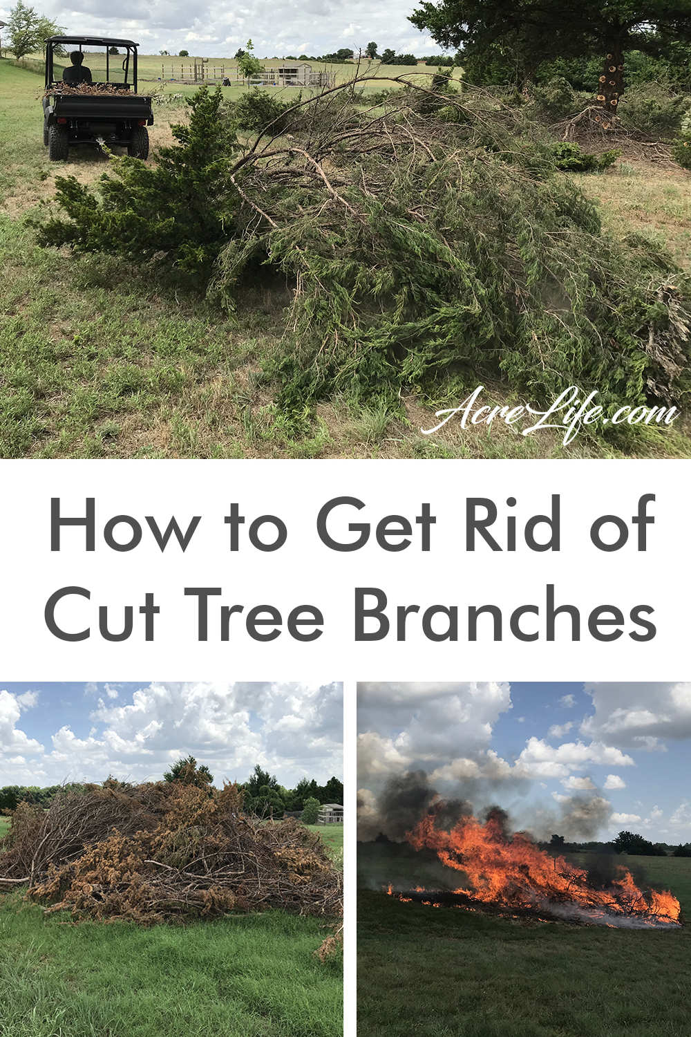 What To Do With Cut Tree Branches