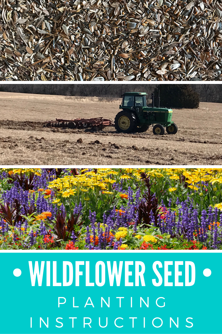 Wildflower Seed Planting Instructions Acre Life Gardening