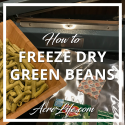 How to freeze dry green beans at home