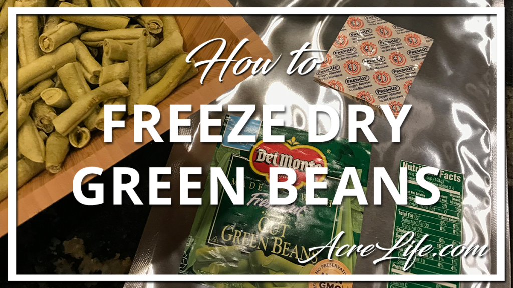 How To Freeze Dry Green Beans At Home