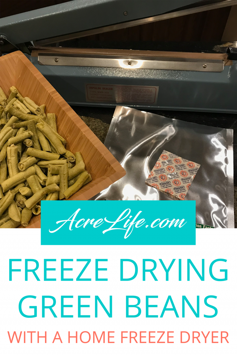 Freeze Dry Green Beans At Home