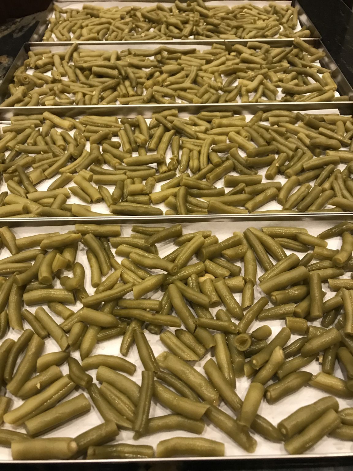 Freeze Dry Green Beans At Home
