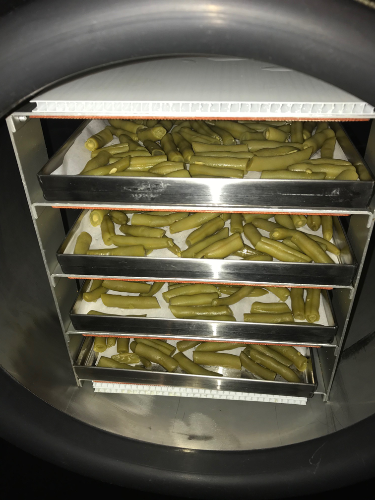 Green beans on trays in the Harvest Right Home Freeze Dryer.