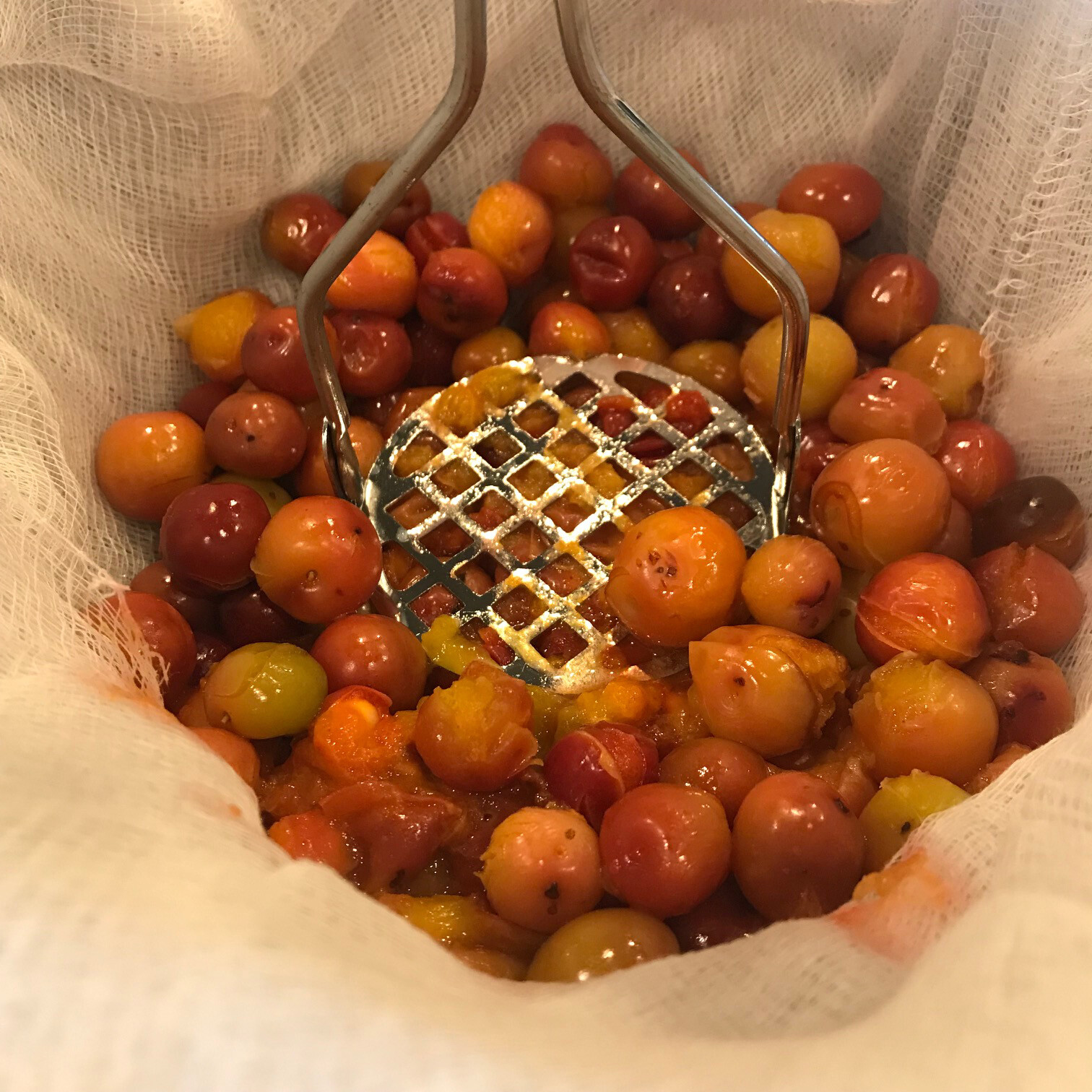 Wild Sand Plum Jelly