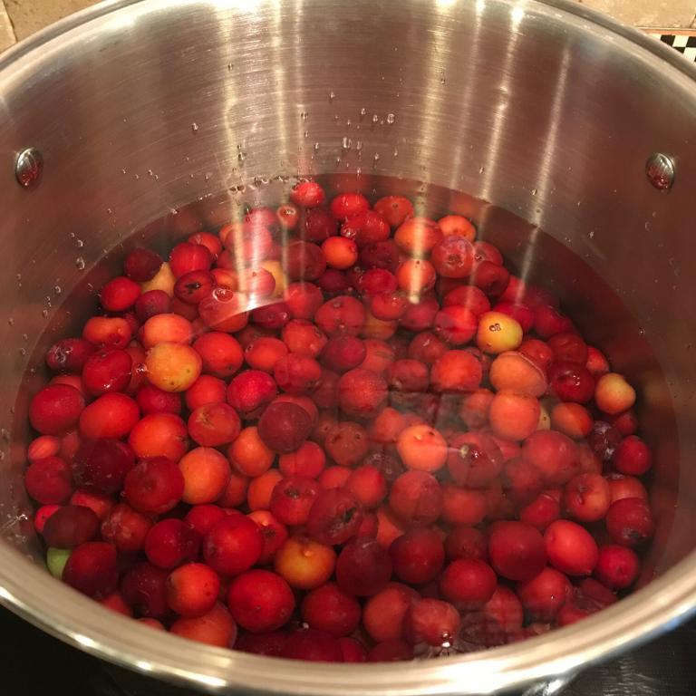 Wild Sand Plum Jelly