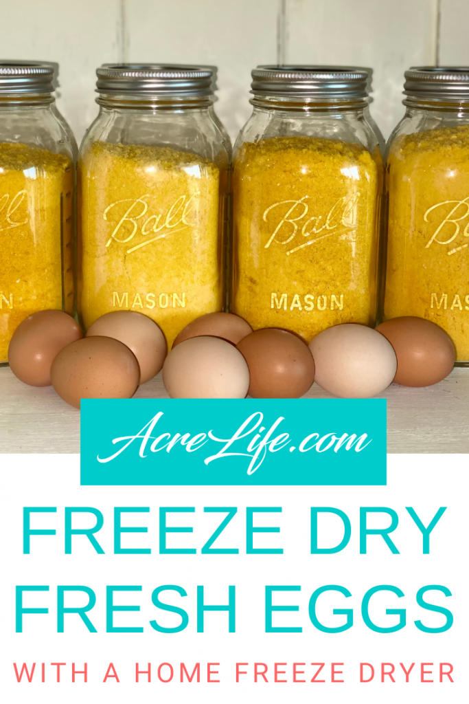 Freeze Dry Eggs - Acre Life