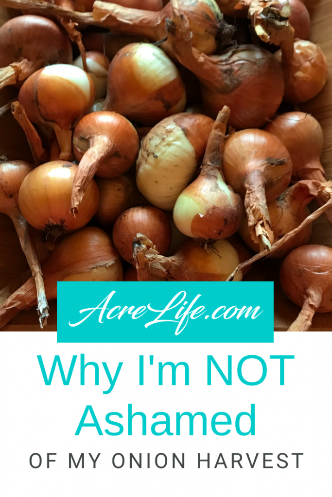 Not Ashamed of Onion Harvest - Acre Life