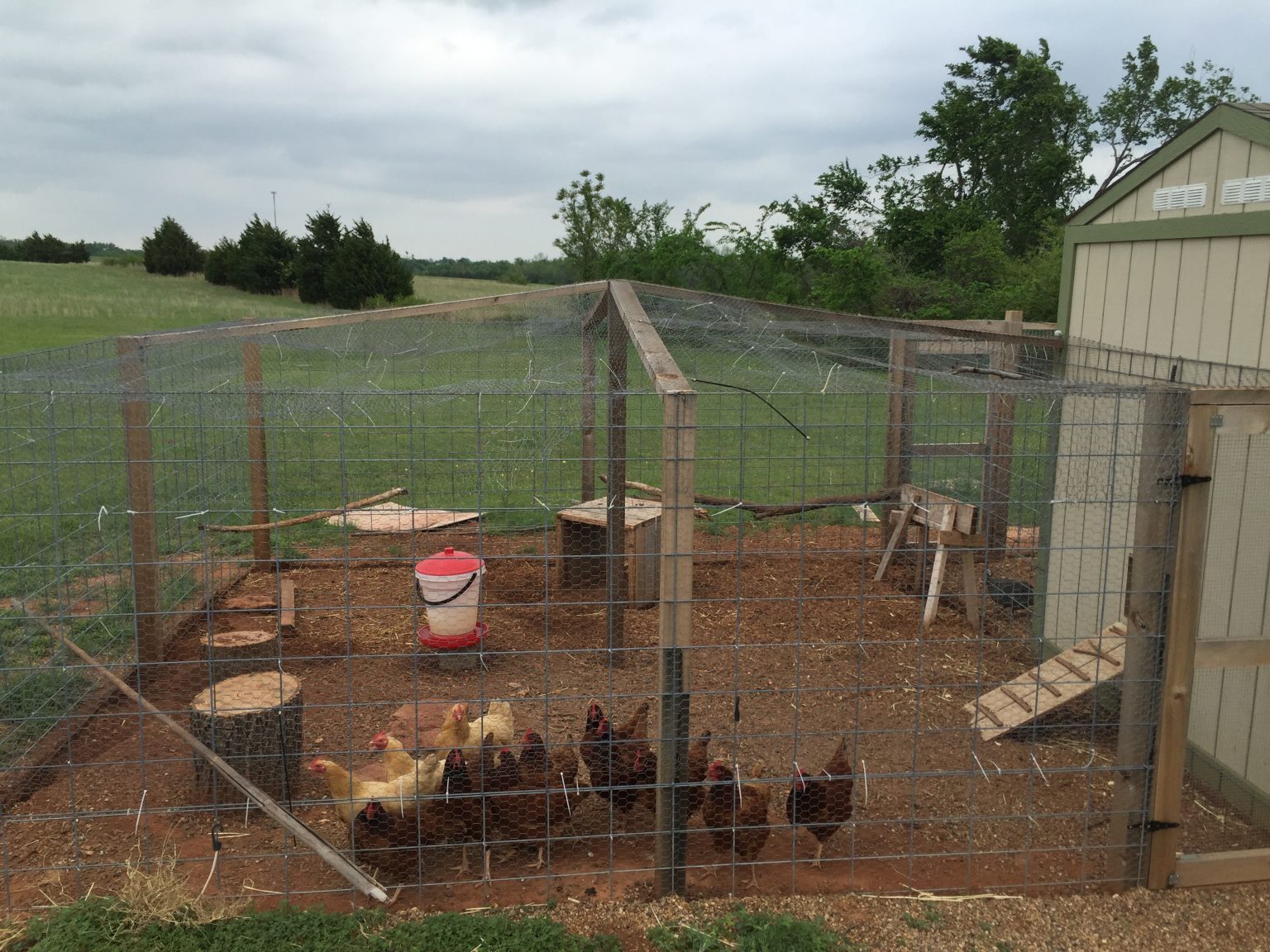 Our Chicken Coop Remodel Promotes Efficiency