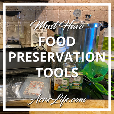 Must Have Food Preservation Tools and Equipment