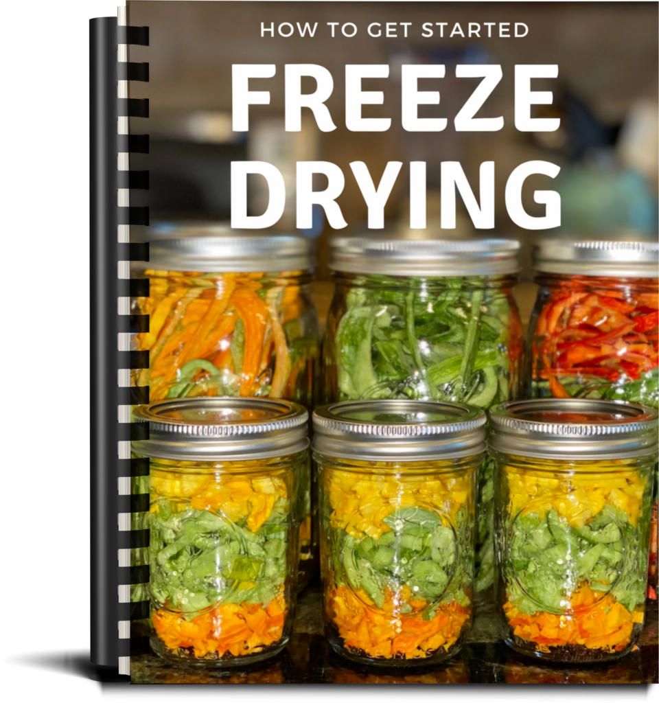 How To Freeze Dry Eggs At Home