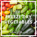 How To Freeze Dry Vegetables