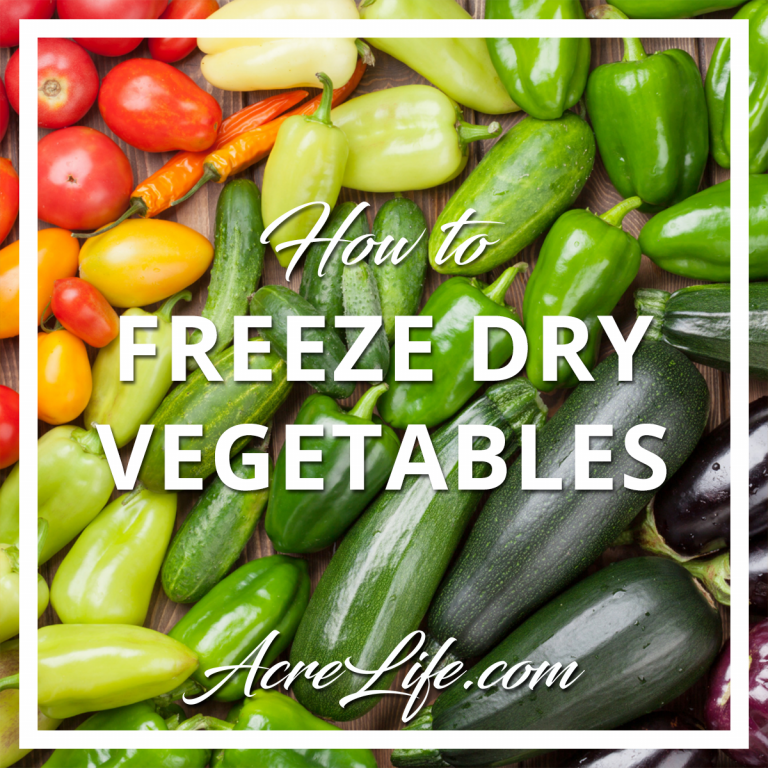 Freeze Dry Green Beans At Home Acre Life Food Preservation